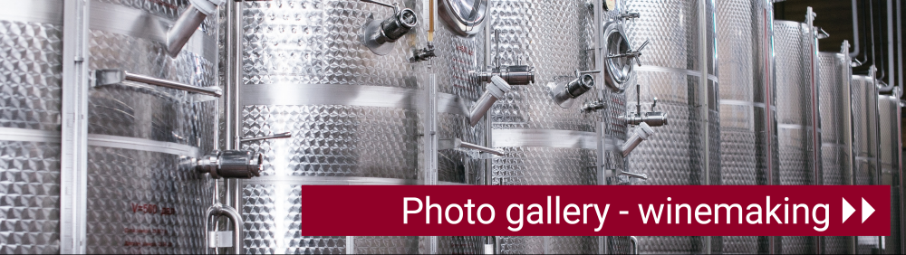 winemaking equipment