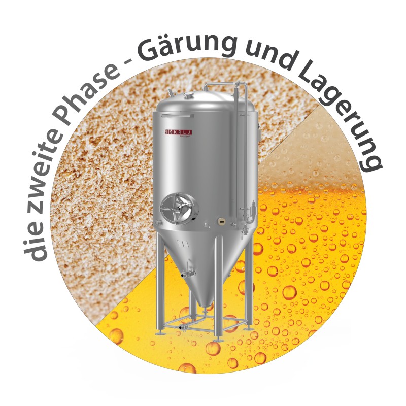 bierreifung