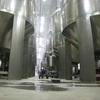 Picture of Alexandra Winery, Ócsárd, Hungary