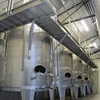 Picture of Weingut R&A Pfaffl, Stetten, Austria
