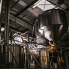 craft brewery