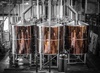 Picture of Speakeasy Ales & Lagers, San Francisco, CA, USA