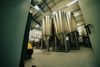 Picture of Green Gold Brewing, Spodnje Grušovlje, Slovenija